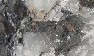 中國(guó)鎢業(yè)新聞網(wǎng)